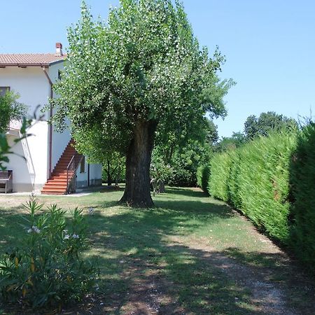 Hotel Il Casolare Delle Rondini Mondavio Exteriér fotografie