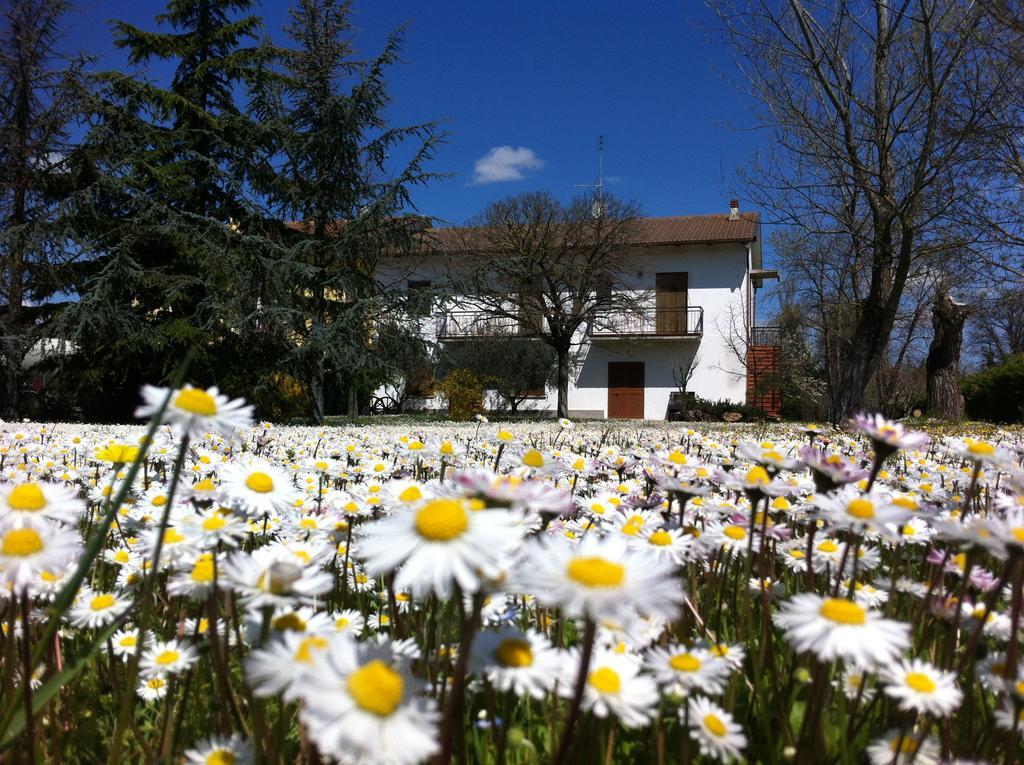 Hotel Il Casolare Delle Rondini Mondavio Exteriér fotografie