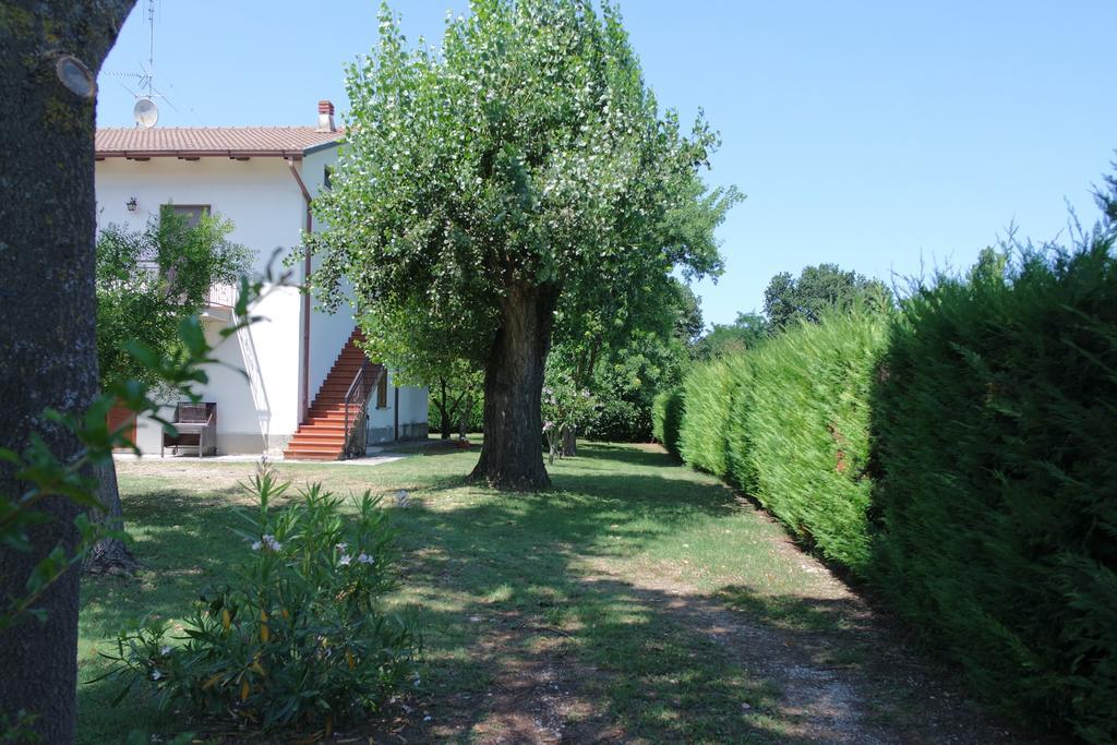 Hotel Il Casolare Delle Rondini Mondavio Exteriér fotografie