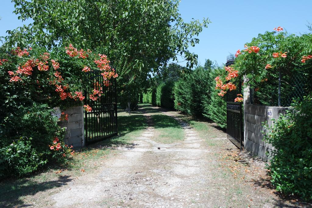 Hotel Il Casolare Delle Rondini Mondavio Exteriér fotografie