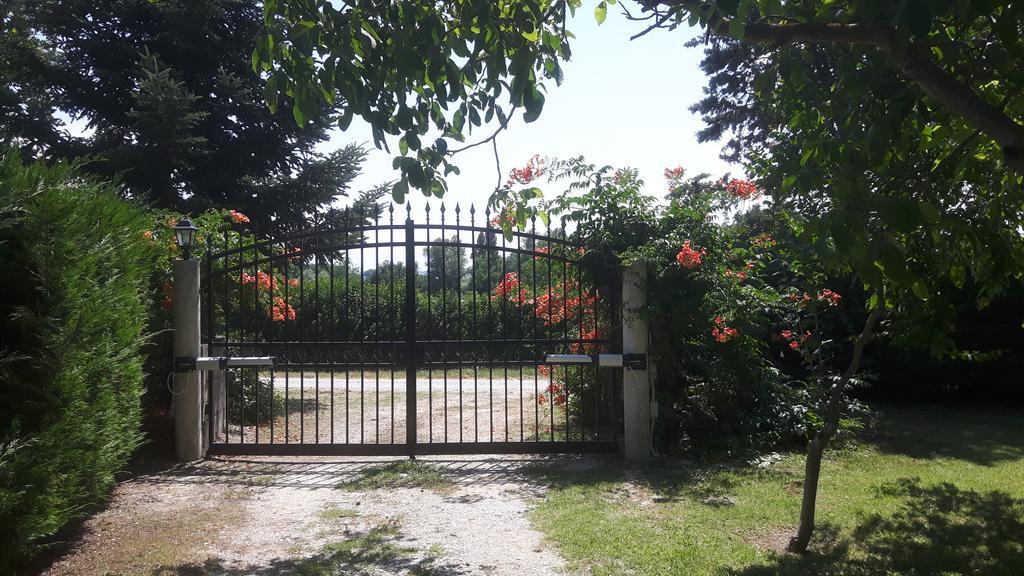 Hotel Il Casolare Delle Rondini Mondavio Exteriér fotografie