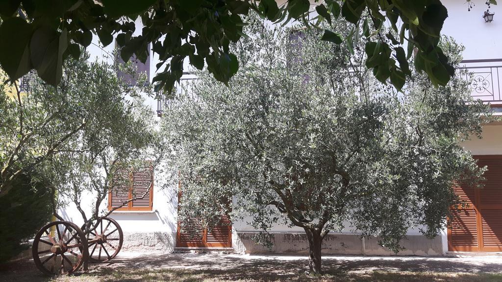 Hotel Il Casolare Delle Rondini Mondavio Exteriér fotografie